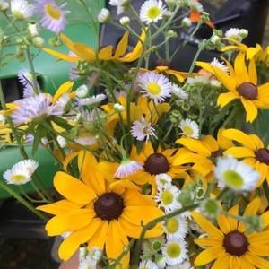 Meet your Posher, Leslie